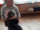 karneval 34